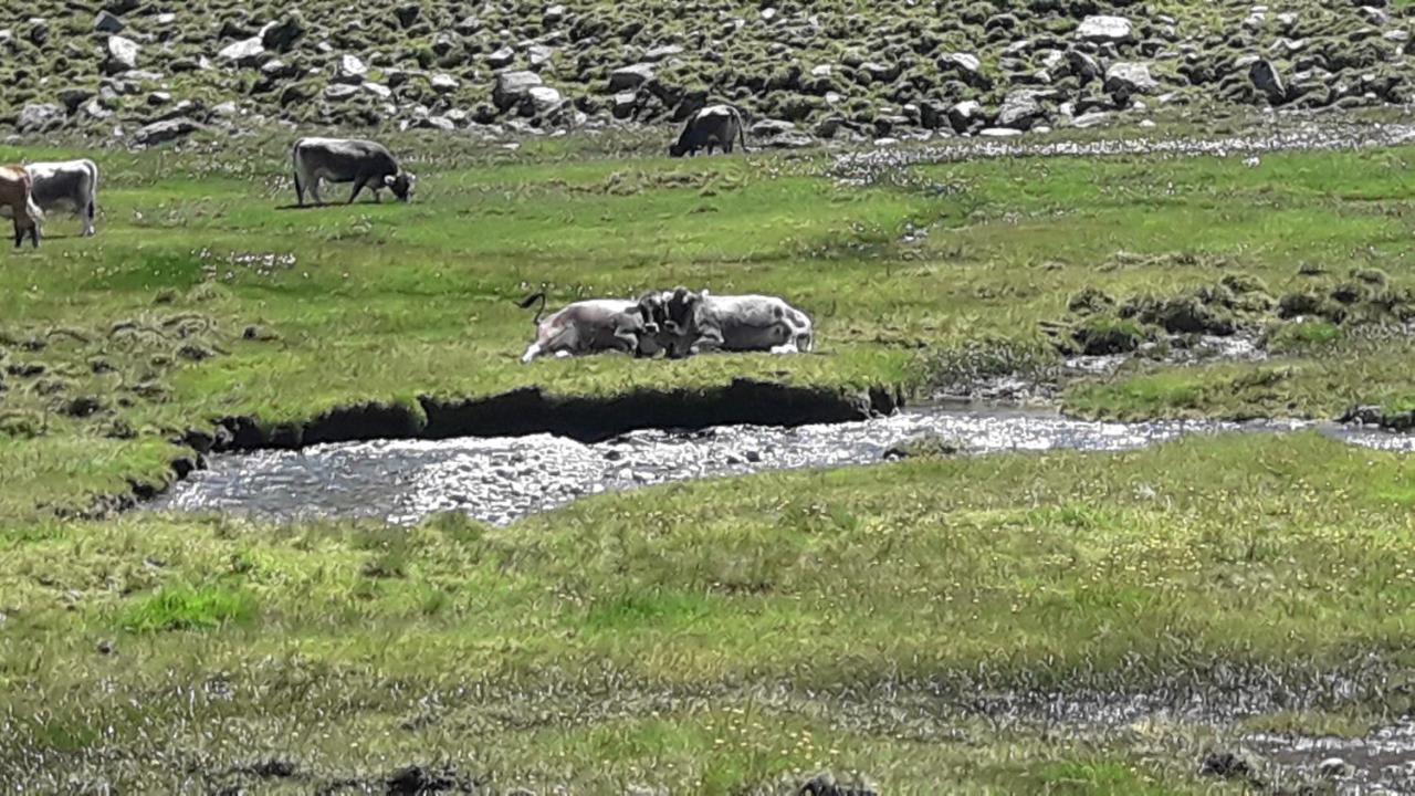 Haus Am Rechten Fleck Kaunertal Εξωτερικό φωτογραφία