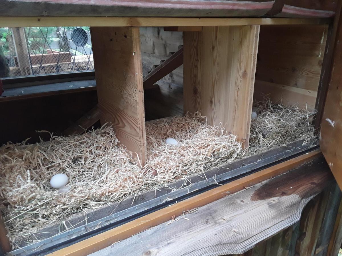 Haus Am Rechten Fleck Kaunertal Εξωτερικό φωτογραφία
