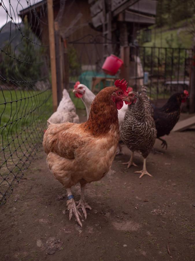 Haus Am Rechten Fleck Kaunertal Εξωτερικό φωτογραφία